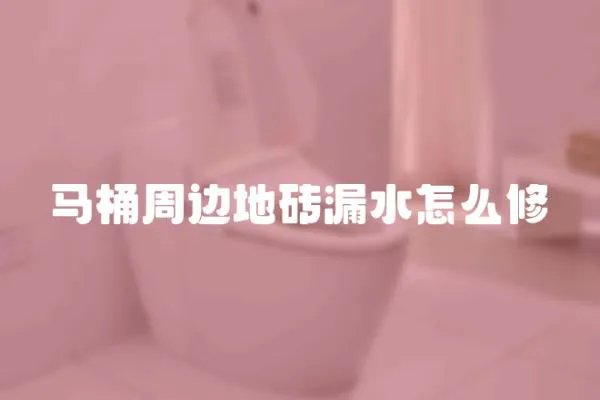 馬桶周邊地磚漏水怎么修