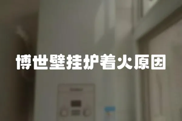 博世壁掛爐著火原因