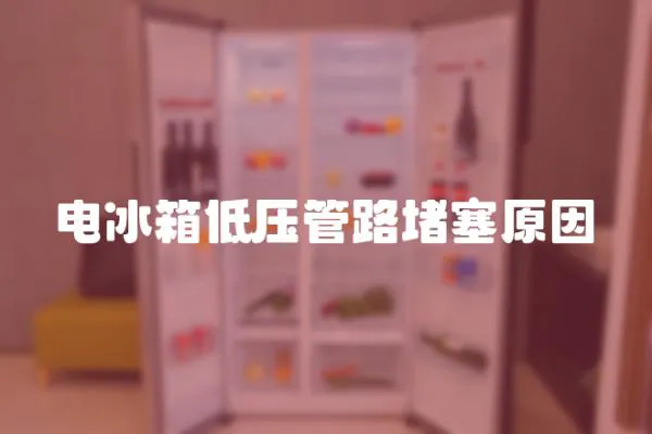 電冰箱低壓管路堵塞原因