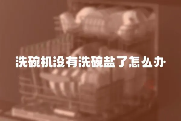 洗碗機沒有洗碗鹽了怎么辦