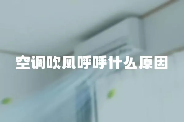 空調吹風呼呼什么原因