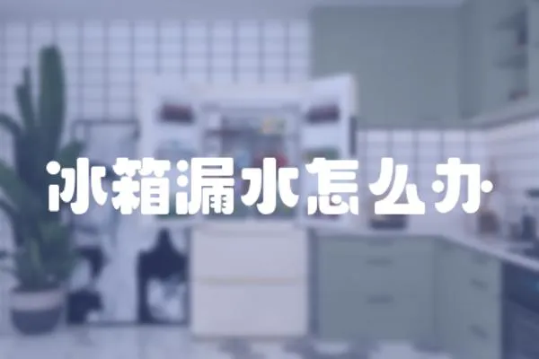 冰箱漏水怎么辦