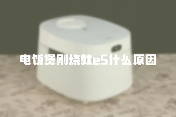 電飯煲剛燒就e5什么原因