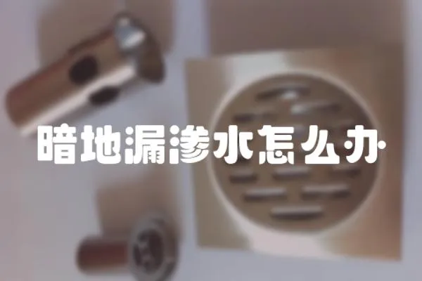 暗地漏滲水怎么辦