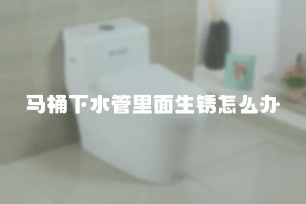 馬桶下水管里面生銹怎么辦