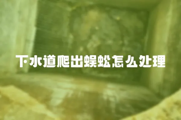 下水道爬出蜈蚣怎么處理