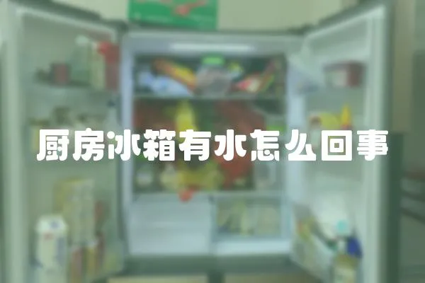 廚房冰箱有水怎么回事
