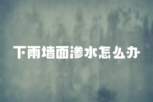 下雨墻面滲水怎么辦
