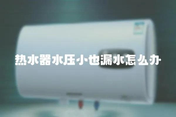 熱水器水壓小也漏水怎么辦