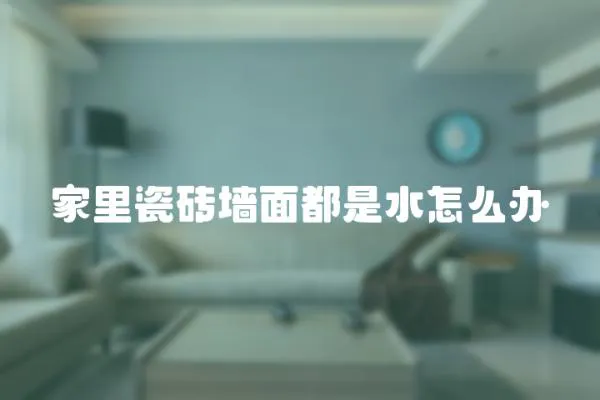 家里瓷磚墻面都是水怎么辦