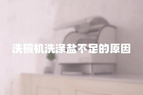 洗碗機洗滌鹽不足的原因