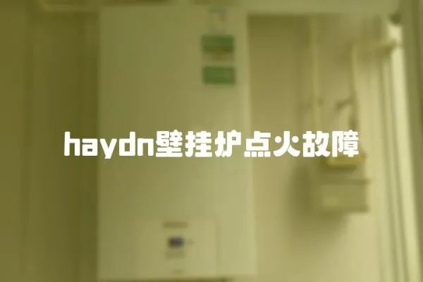 haydn壁掛爐點火故障
