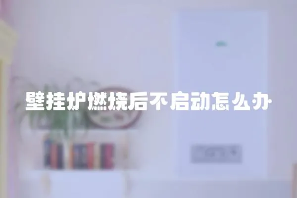 壁掛爐燃燒后不啟動怎么辦
