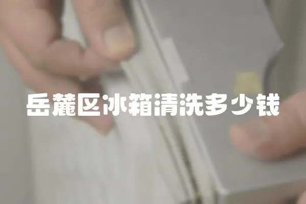 岳麓區冰箱清洗多少錢
