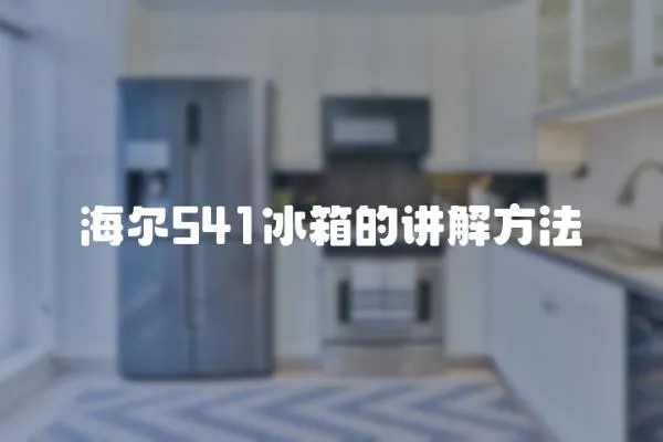 海爾541冰箱的講解方法