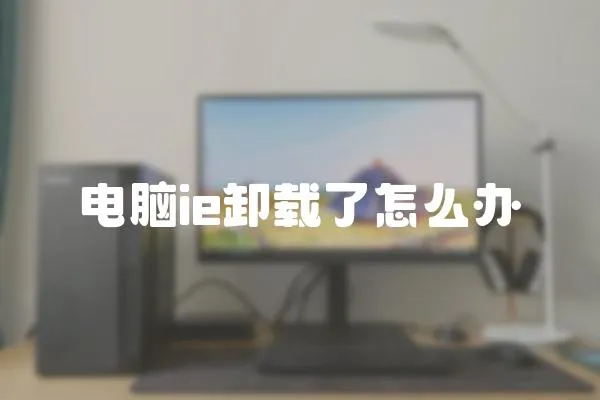 電腦ie卸載了怎么辦