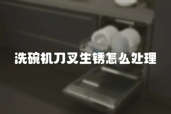 洗碗機刀叉生銹怎么處理