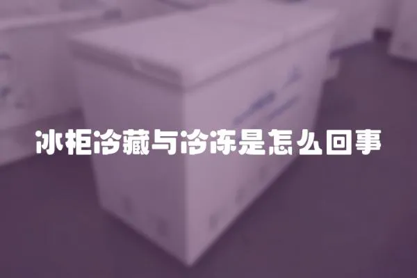 冰柜冷藏與冷凍是怎么回事