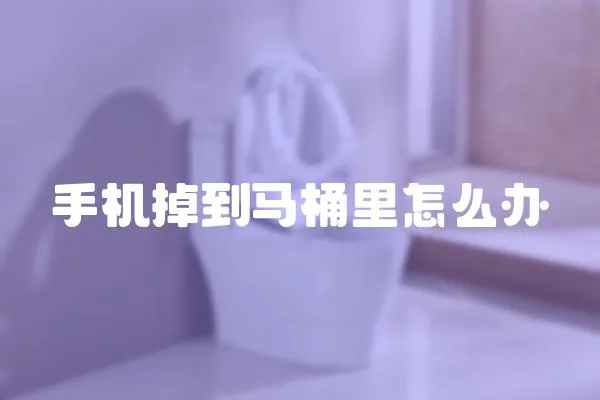 手機掉到馬桶里怎么辦