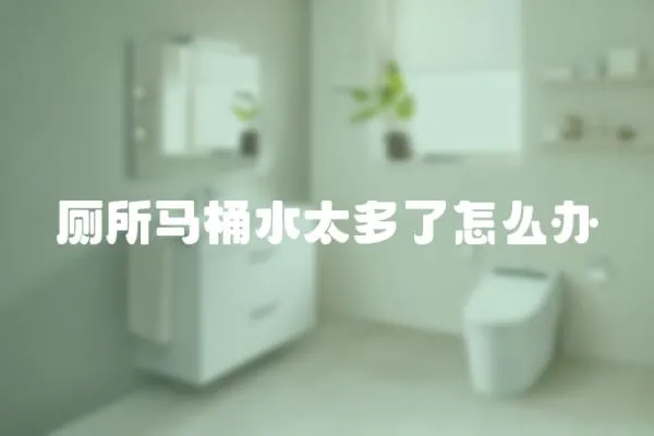 廁所馬桶水太多了怎么辦