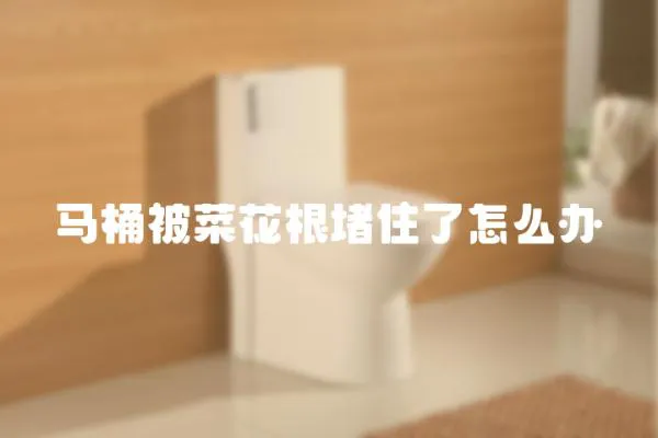 馬桶被菜花根堵住了怎么辦