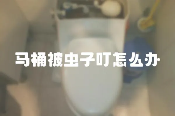 馬桶被蟲子叮怎么辦