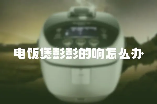 電飯煲彭彭的響怎么辦