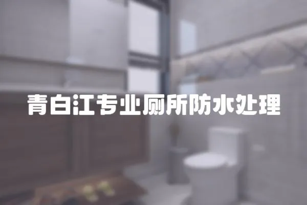 青白江專業廁所防水處理