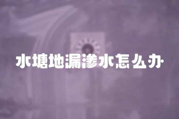 水塘地漏滲水怎么辦