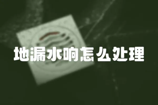 地漏水響怎么處理