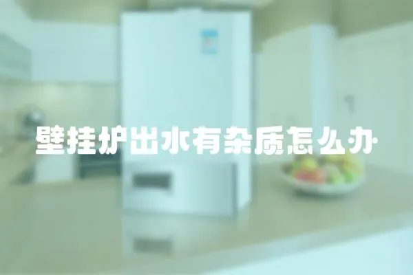壁掛爐出水有雜質怎么辦