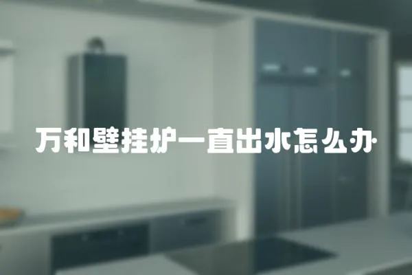 萬(wàn)和壁掛爐一直出水怎么辦
