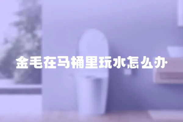 金毛在馬桶里玩水怎么辦