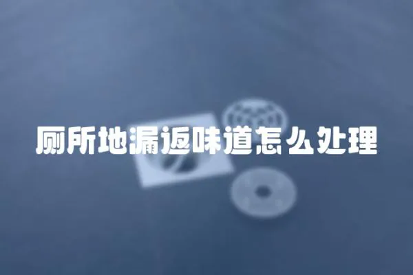 廁所地漏返味道怎么處理