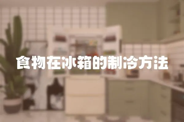 食物在冰箱的制冷方法