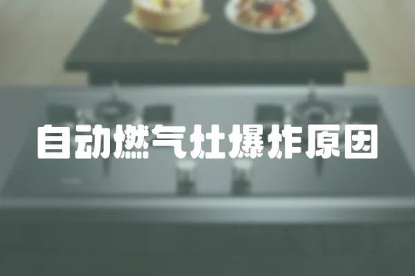 自動燃氣灶爆炸原因