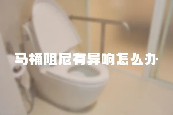 馬桶阻尼有異響怎么辦