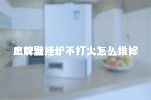 鷹牌壁掛爐不打火怎么維修