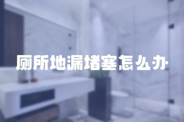 廁所地漏堵塞怎么辦