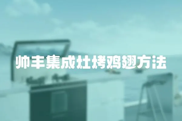 帥豐集成灶烤雞翅方法