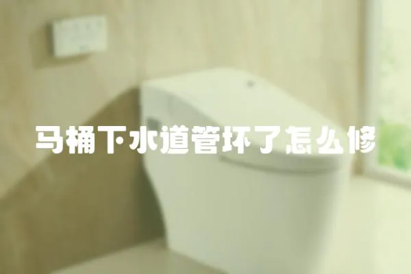 馬桶下水道管壞了怎么修