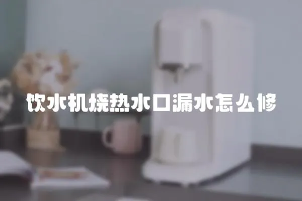 饮水机烧热水口漏水怎么修