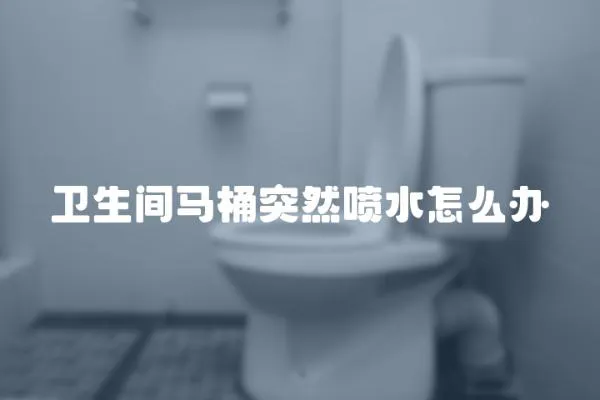 衛(wèi)生間馬桶突然噴水怎么辦