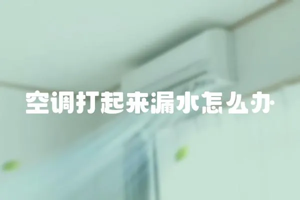 空調(diào)打起來漏水怎么辦