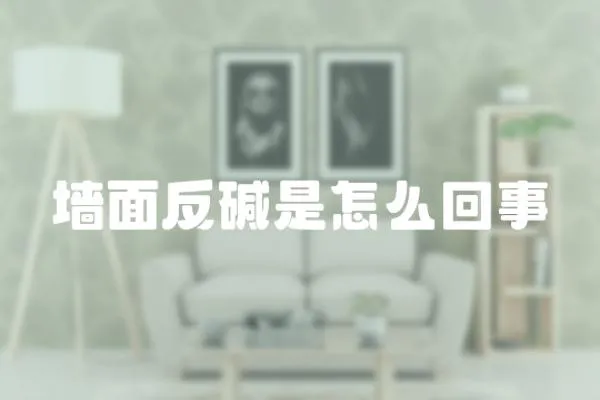 墻面反堿是怎么回事