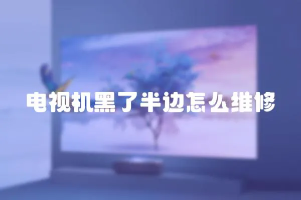 電視機黑了半邊怎么維修
