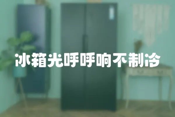冰箱光呼呼響不制冷