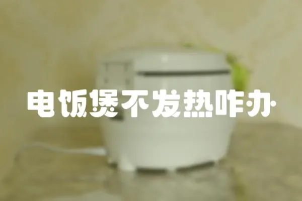電飯煲不發熱咋辦