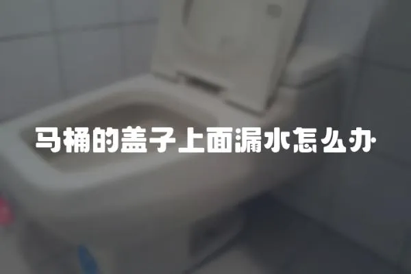 马桶的盖子上面漏水怎么办