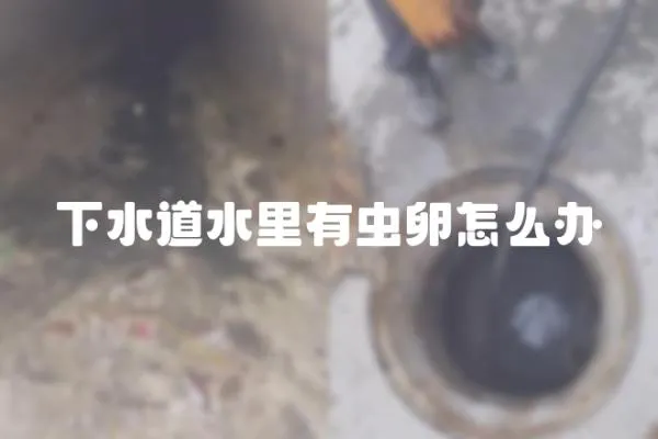 下水道水里有蟲卵怎么辦